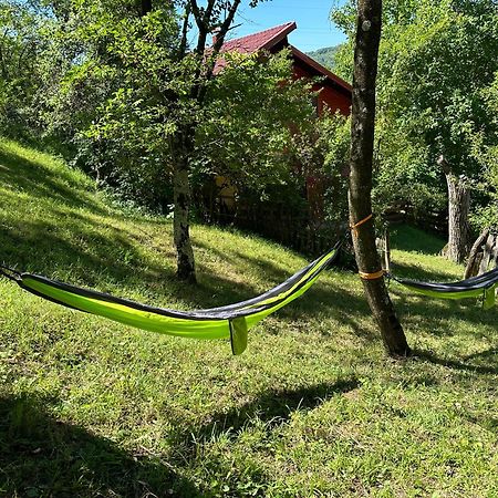 Casa Lupilor Transfagarasan Villa Căpăţîneni-Ungureni Buitenkant foto
