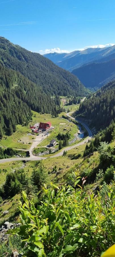 Casa Lupilor Transfagarasan Villa Căpăţîneni-Ungureni Buitenkant foto