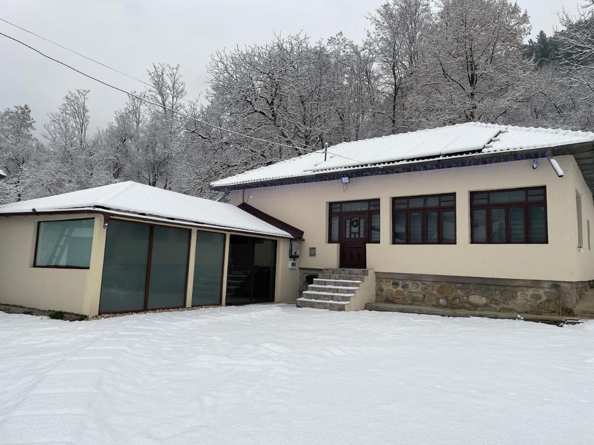 Casa Lupilor Transfagarasan Villa Căpăţîneni-Ungureni Buitenkant foto