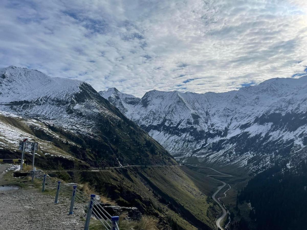 Casa Lupilor Transfagarasan Villa Căpăţîneni-Ungureni Buitenkant foto
