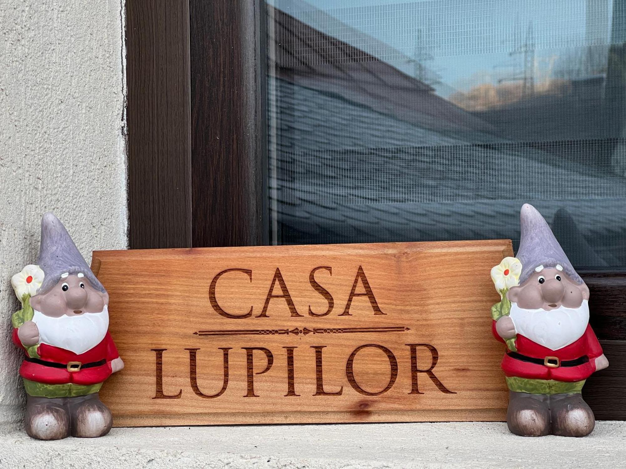 Casa Lupilor Transfagarasan Villa Căpăţîneni-Ungureni Buitenkant foto