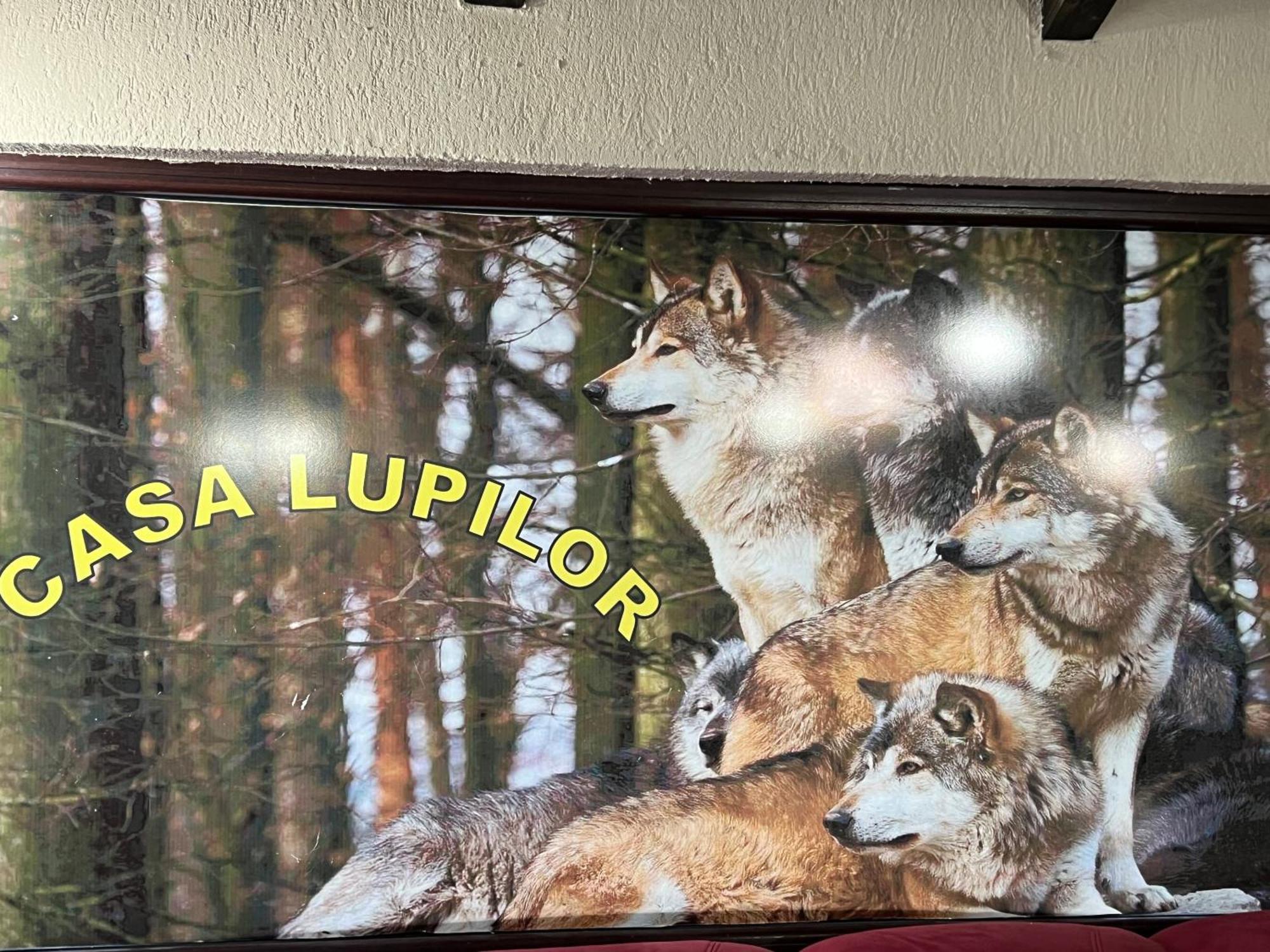 Casa Lupilor Transfagarasan Villa Căpăţîneni-Ungureni Buitenkant foto