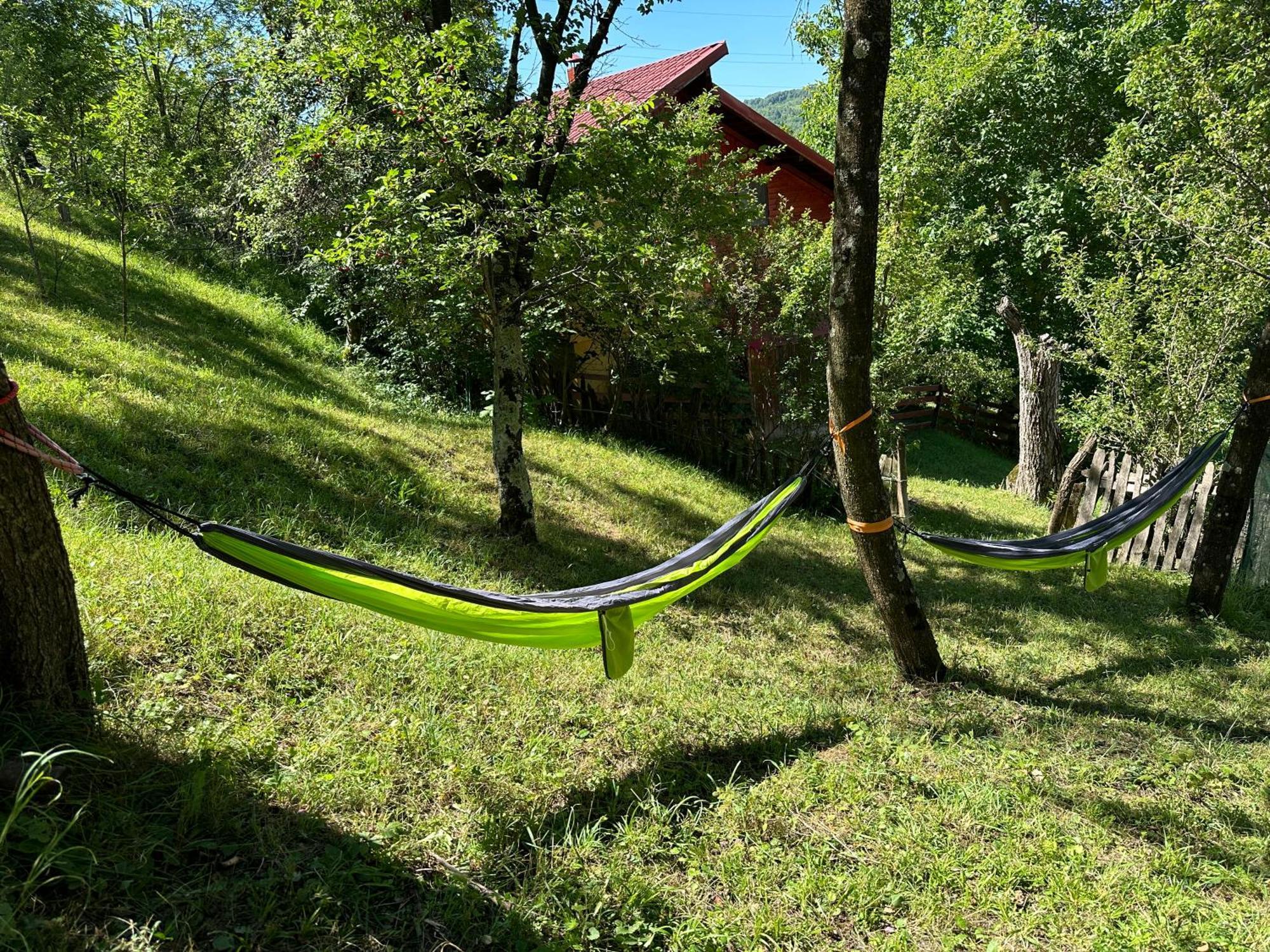 Casa Lupilor Transfagarasan Villa Căpăţîneni-Ungureni Buitenkant foto