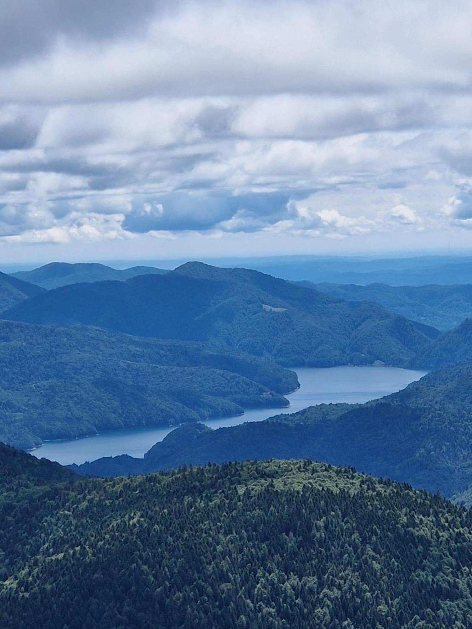 Casa Lupilor Transfagarasan Villa Căpăţîneni-Ungureni Buitenkant foto