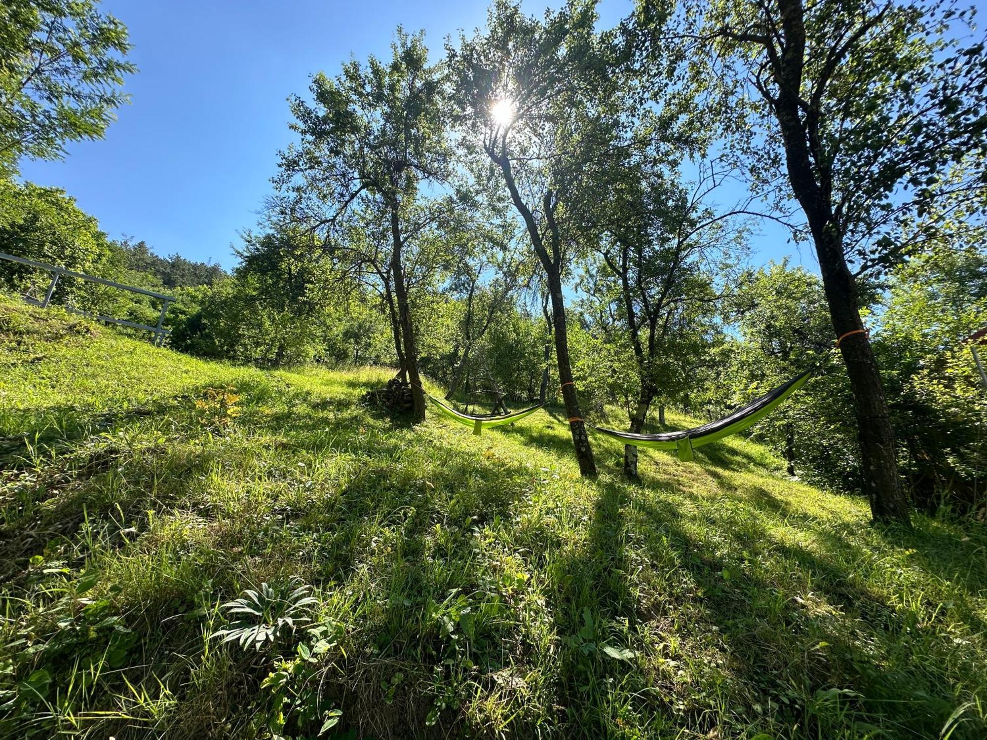 Casa Lupilor Transfagarasan Villa Căpăţîneni-Ungureni Buitenkant foto